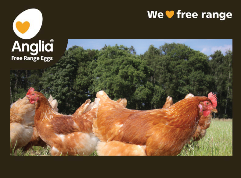 Anglia Free Range Eggs - free range chickens